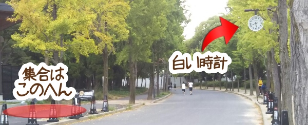 ナイトランAC集合場所
